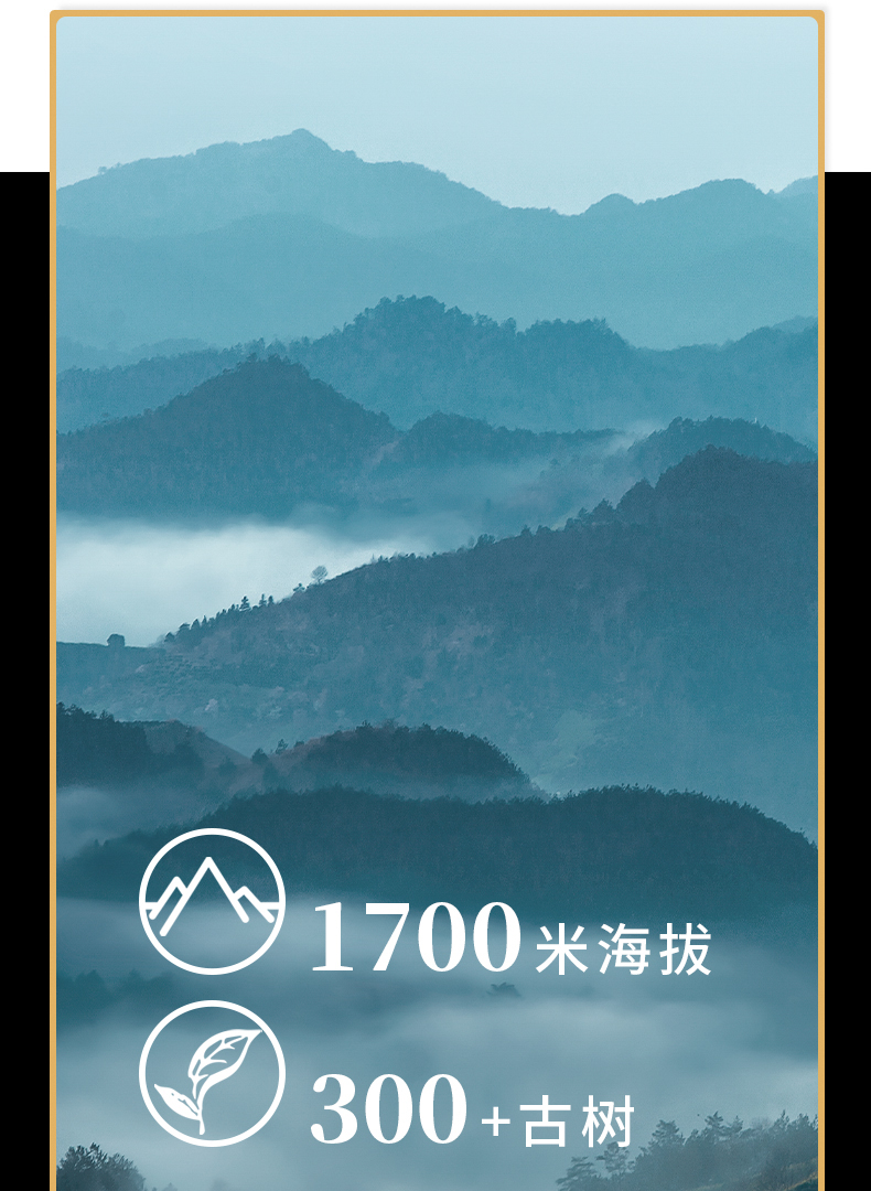 15-蛮砖详情页20210203_04.jpg
