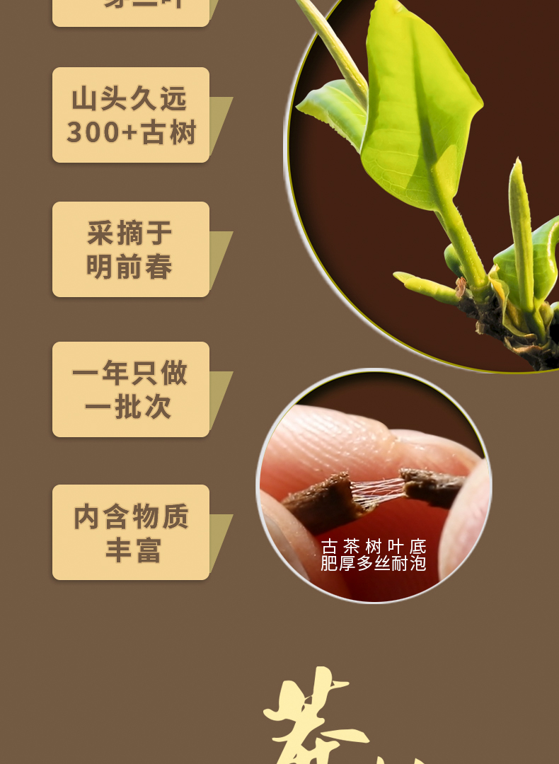 2-莽枝第二版详情页2_03.jpg