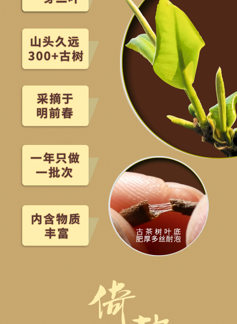1-倚邦第二版详情页_03.jpg