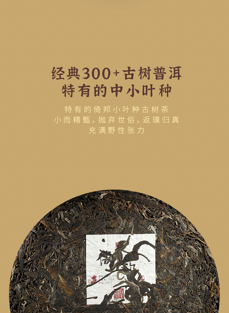 1-倚邦第二版详情页_10.jpg