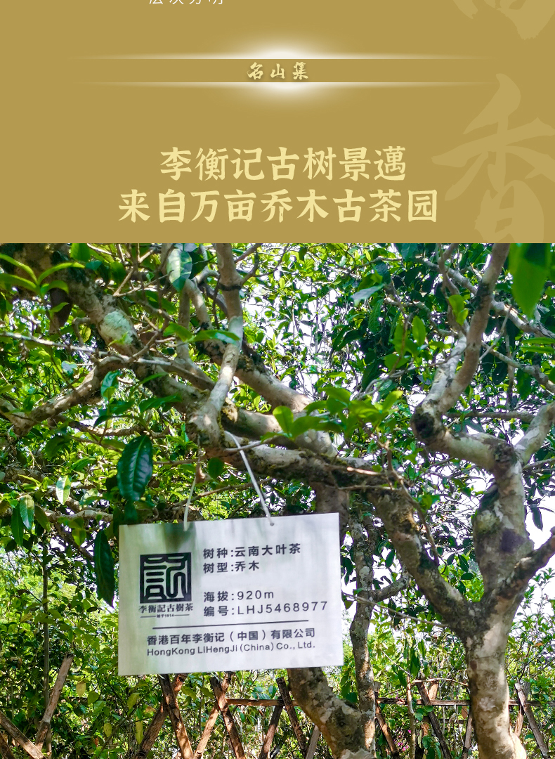 4-一饼景迈-详情页第三版黑体_03.jpg