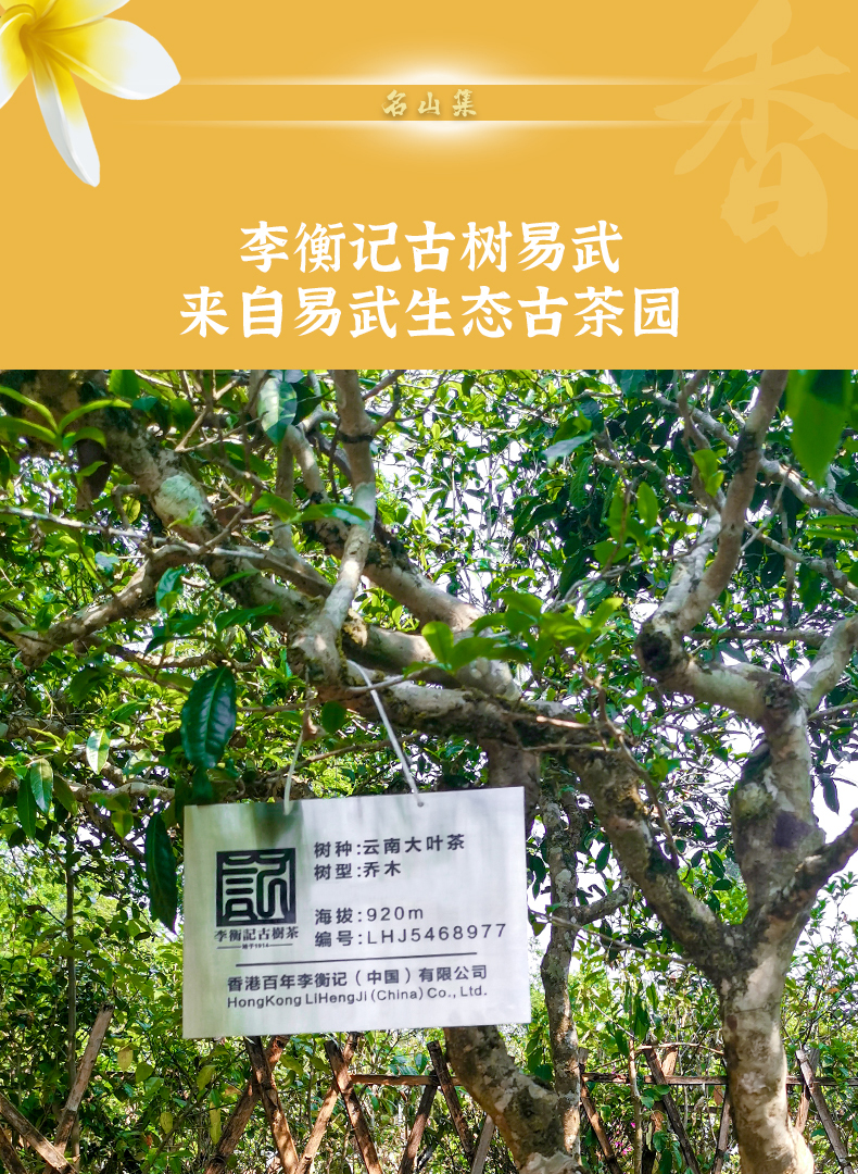 5-一饼易武-详情页第三版黑体_03.jpg