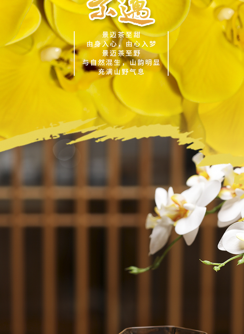 2101景迈详情页_08.jpg