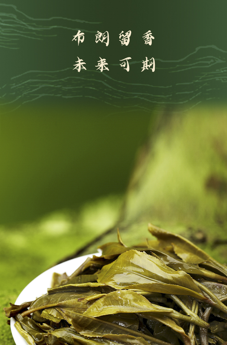 2201布朗-详情页s_11.jpg