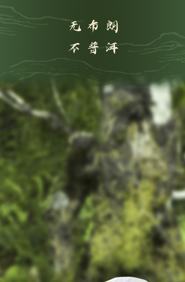 2201布朗-详情页s_13.jpg