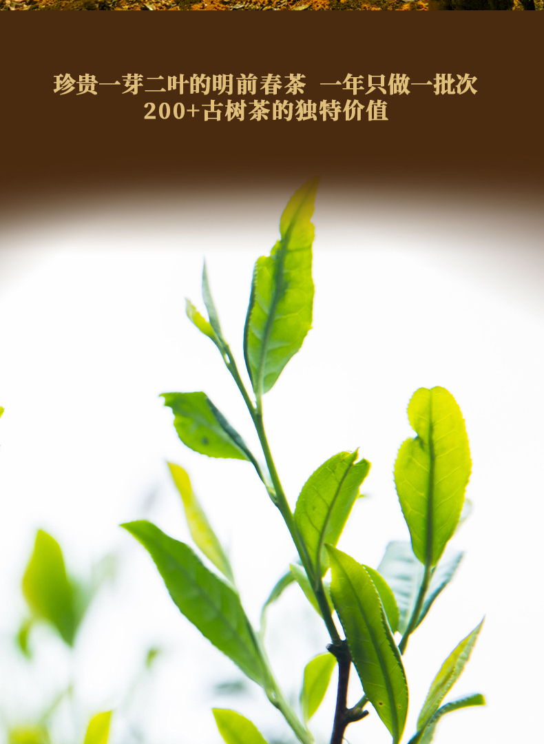 甘露天猫详情页20210309_05.jpg
