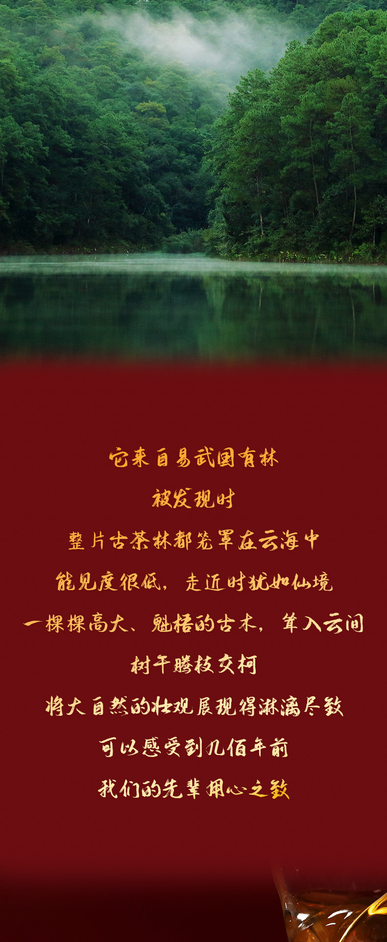 2201-鸾翔凤翥-详情页_03.jpg