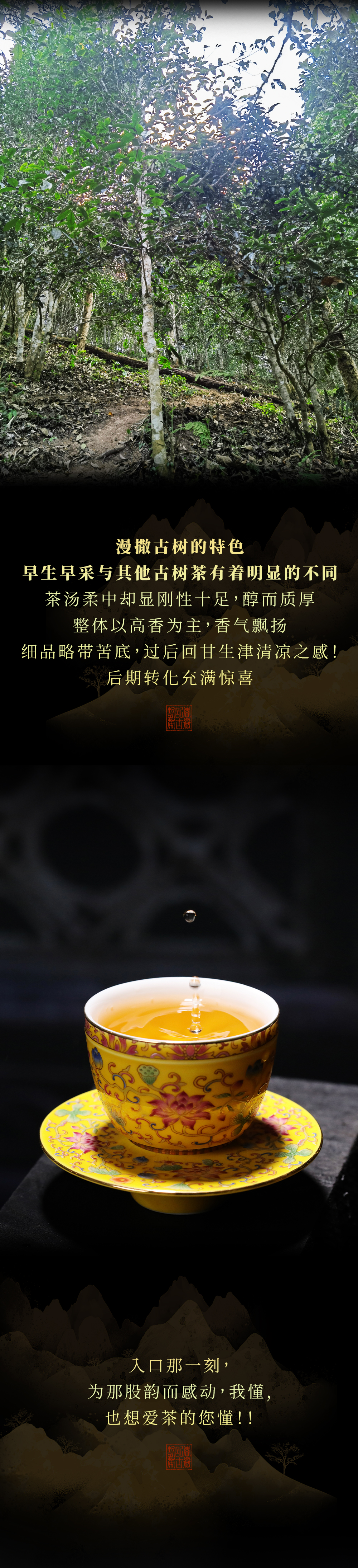 2023.04.10漫撒公众号配图3_03.jpg