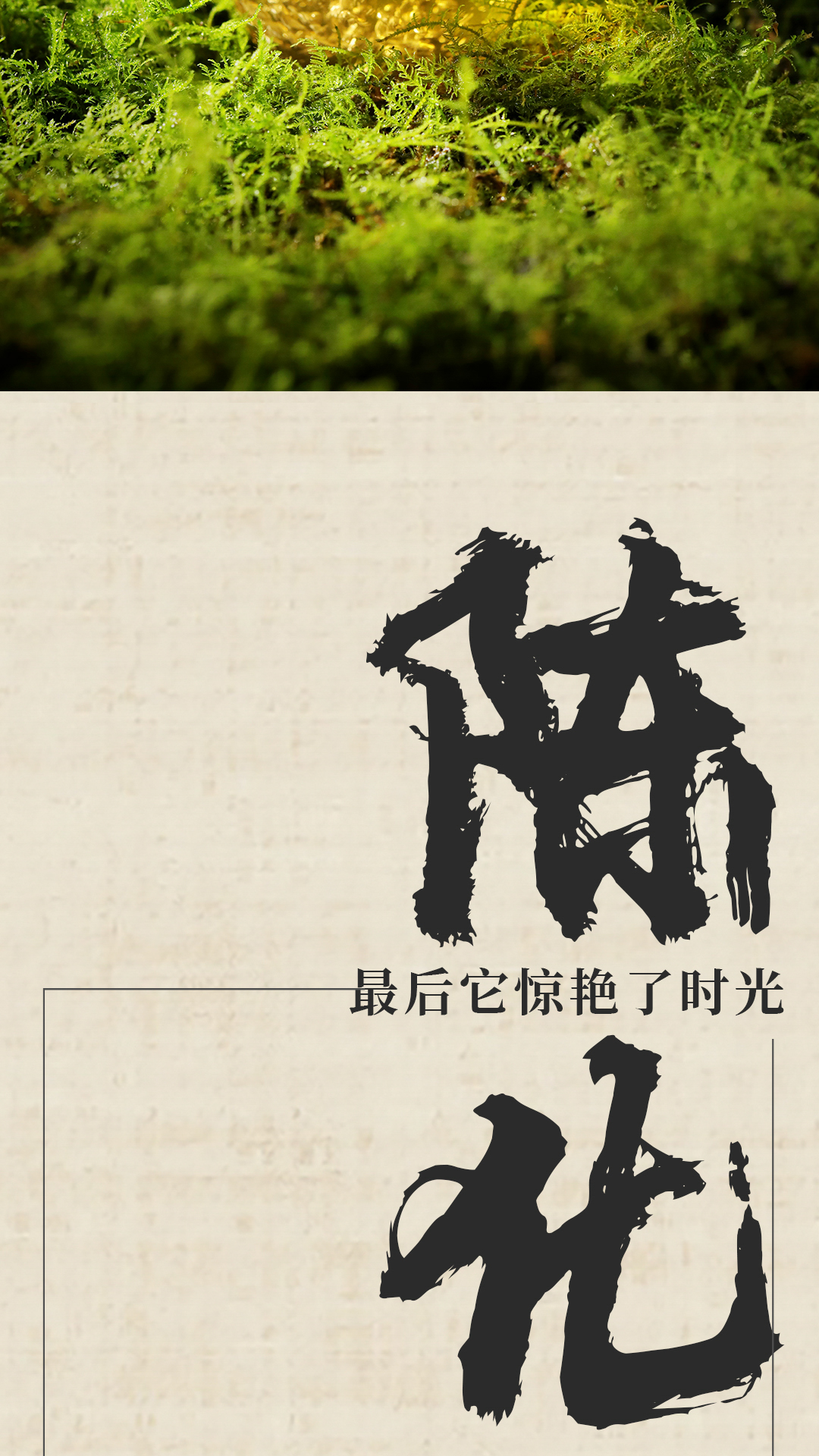 2401易武-公众号-1080x-3_04.jpg