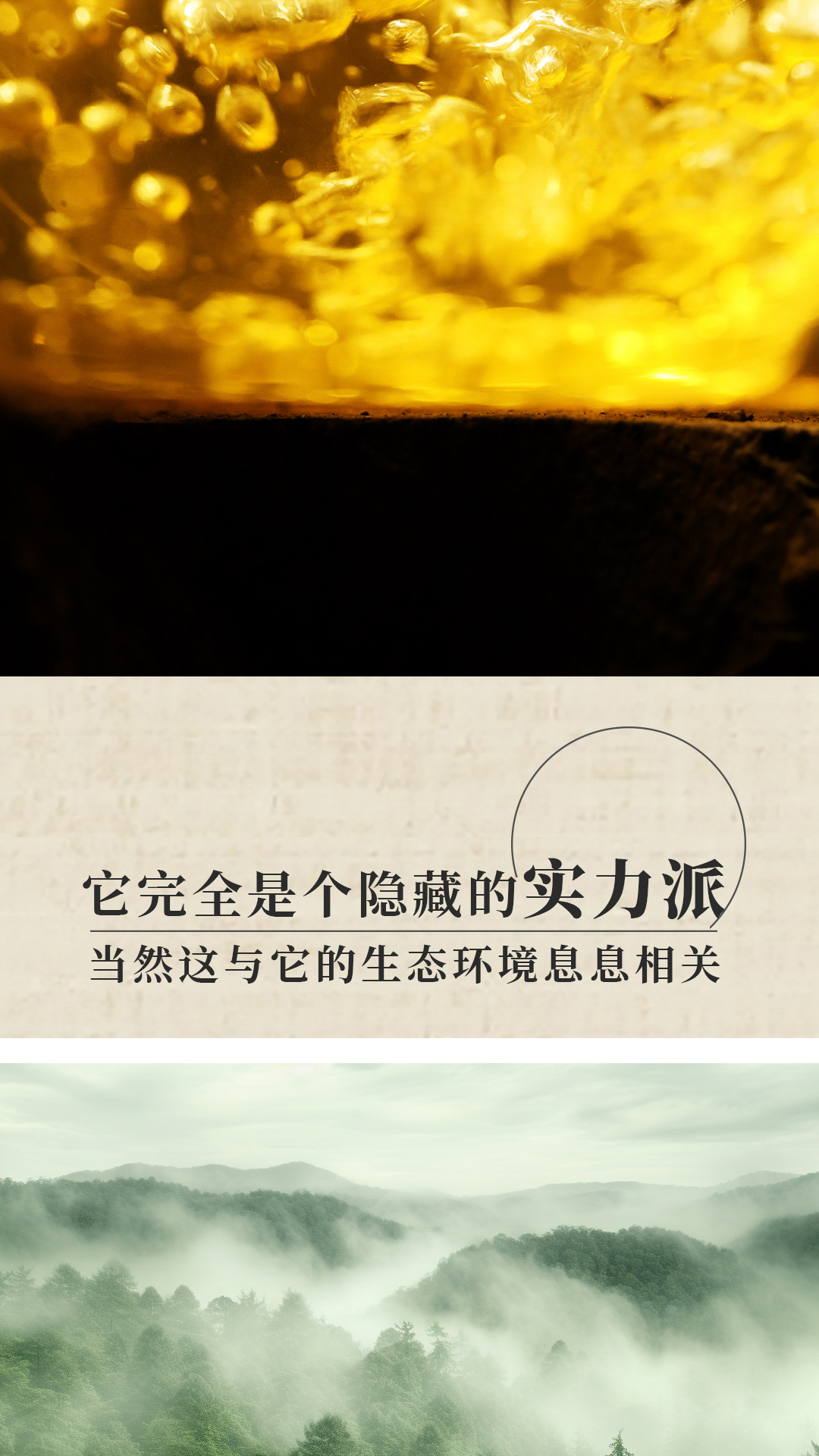 2401易武-公众号-1080x-3_06.jpg